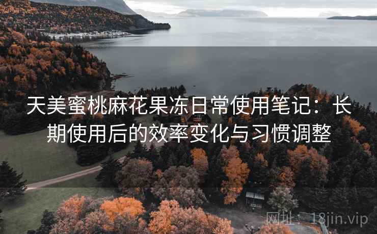 天美蜜桃麻花果冻日常使用笔记：长期使用后的效率变化与习惯调整
