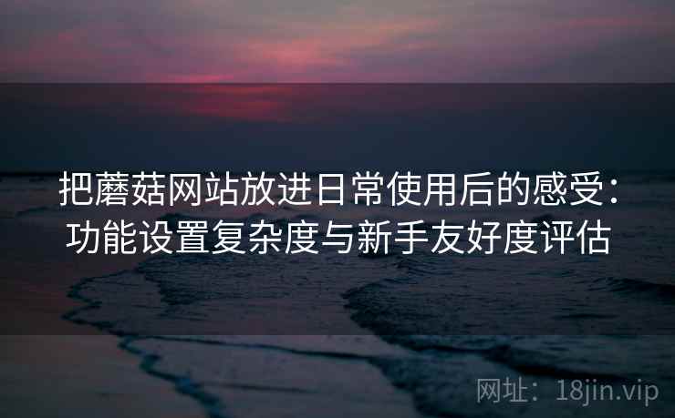 把蘑菇网站放进日常使用后的感受：功能设置复杂度与新手友好度评估