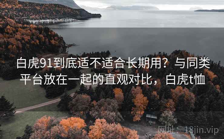 白虎91到底适不适合长期用？与同类平台放在一起的直观对比，白虎t恤