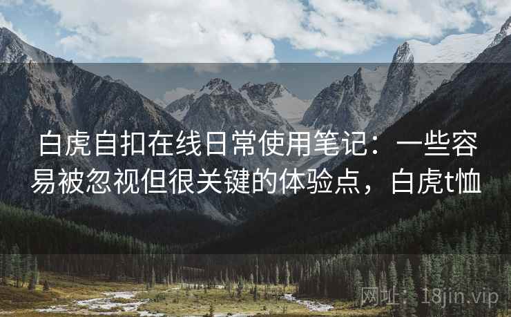 白虎自扣在线日常使用笔记：一些容易被忽视但很关键的体验点，白虎t恤