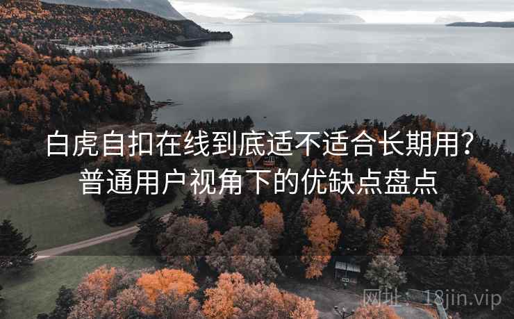 白虎自扣在线到底适不适合长期用？普通用户视角下的优缺点盘点