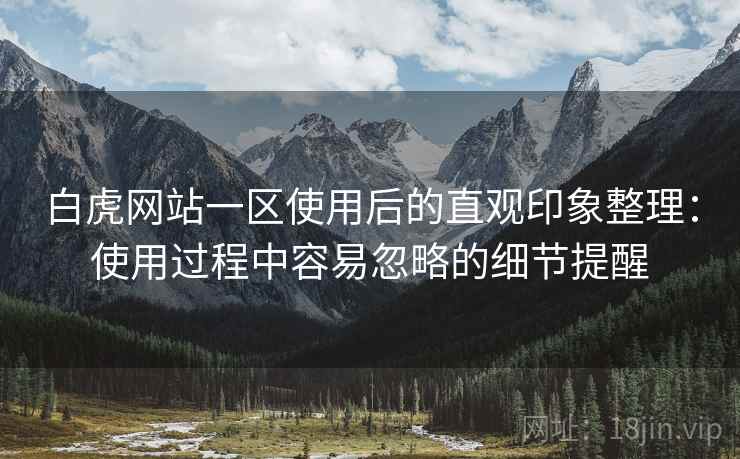 白虎网站一区使用后的直观印象整理：使用过程中容易忽略的细节提醒