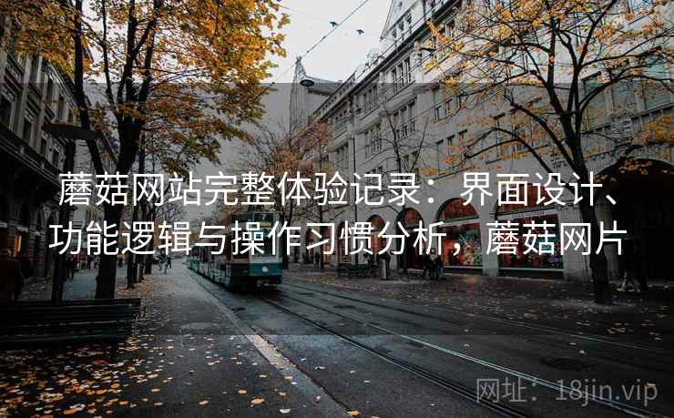 蘑菇网站完整体验记录:界面设计、功能逻辑与操作习惯分析,蘑菇网片 蘑菇网站完整体验记录:界面设计、功能逻辑与操作习惯分析,蘑菇网片