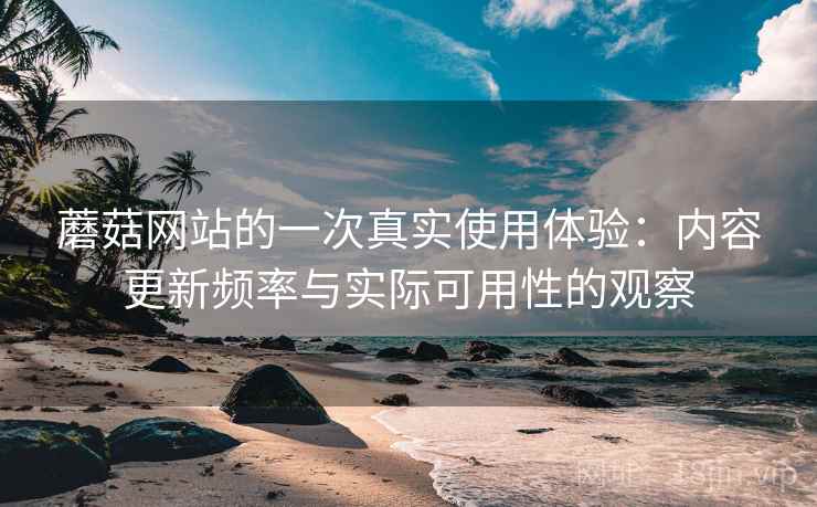蘑菇网站的一次真实使用体验：内容更新频率与实际可用性的观察
