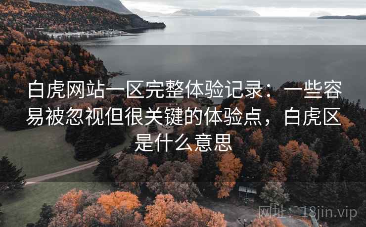 白虎网站一区完整体验记录:一些容易被忽视但很关键的体验点,白虎区是什么意思 白虎网站一区完整体验记录:一些容易被忽视但很关键的体验点,白虎区是什么意思