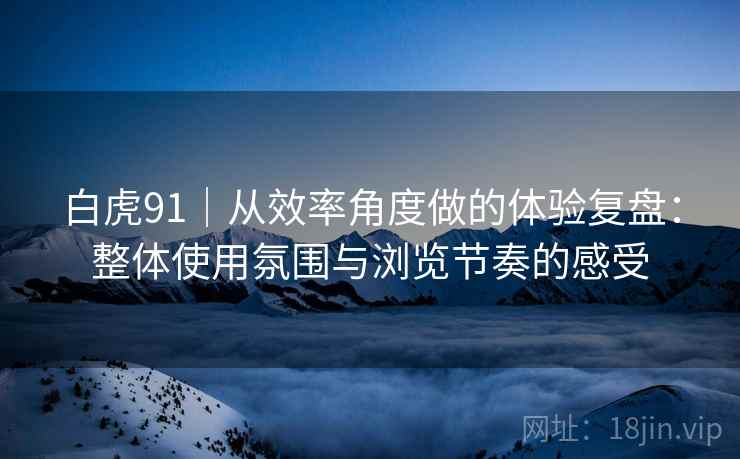 白虎91｜从效率角度做的体验复盘：整体使用氛围与浏览节奏的感受