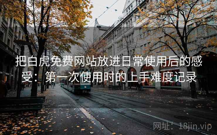 把白虎免费网站放进日常使用后的感受：第一次使用时的上手难度记录