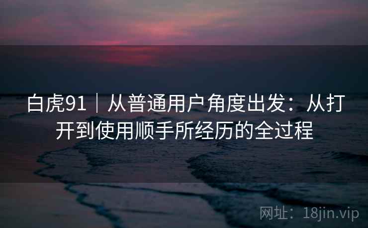 白虎91｜从普通用户角度出发：从打开到使用顺手所经历的全过程