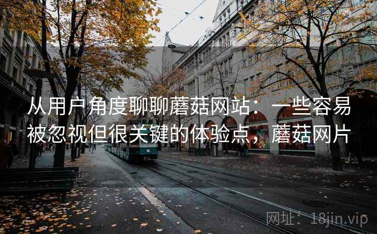 从用户角度聊聊蘑菇网站：一些容易被忽视但很关键的体验点，蘑菇网片
