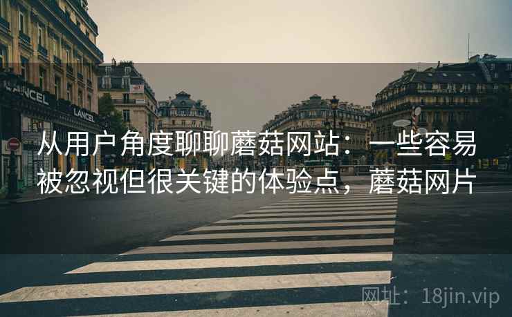 从用户角度聊聊蘑菇网站：一些容易被忽视但很关键的体验点，蘑菇网片
