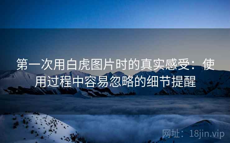 第一次用白虎图片时的真实感受：使用过程中容易忽略的细节提醒