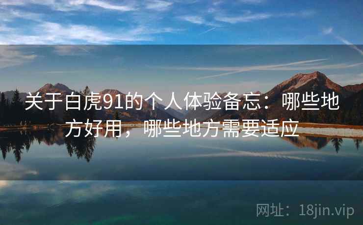 关于白虎91的个人体验备忘：哪些地方好用，哪些地方需要适应