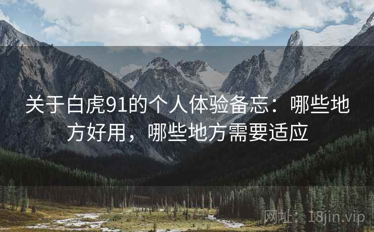 关于白虎91的个人体验备忘:哪些地方好用,哪些地方需要适应 关于白虎91的个人体验备忘:哪些地方好用,哪些地方需要适应