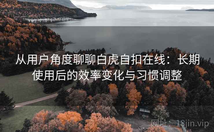 从用户角度聊聊白虎自扣在线：长期使用后的效率变化与习惯调整