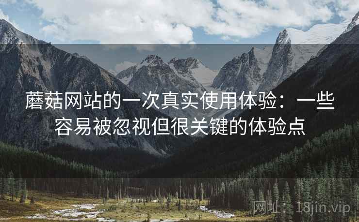 蘑菇网站的一次真实使用体验：一些容易被忽视但很关键的体验点