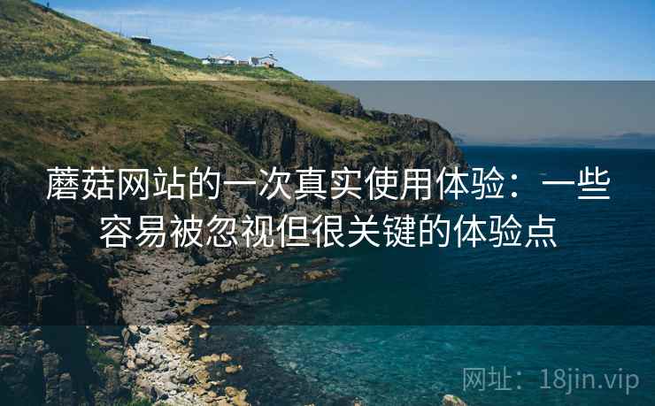 蘑菇网站的一次真实使用体验:一些容易被忽视但很关键的体验点 蘑菇网站的一次真实使用体验:一些容易被忽视但很关键的体验点